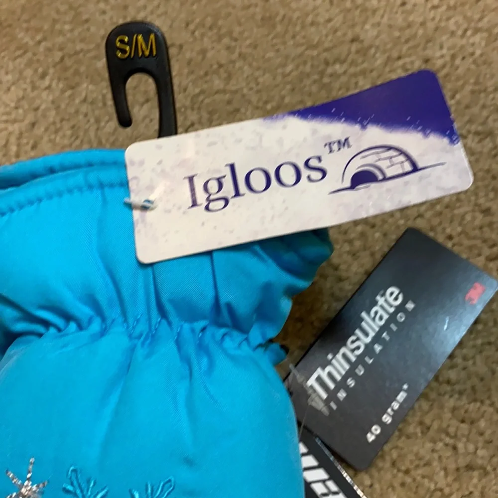 Igloo girls igloos
