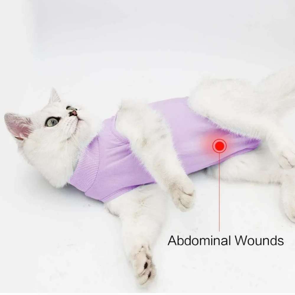 Doton cat recovery