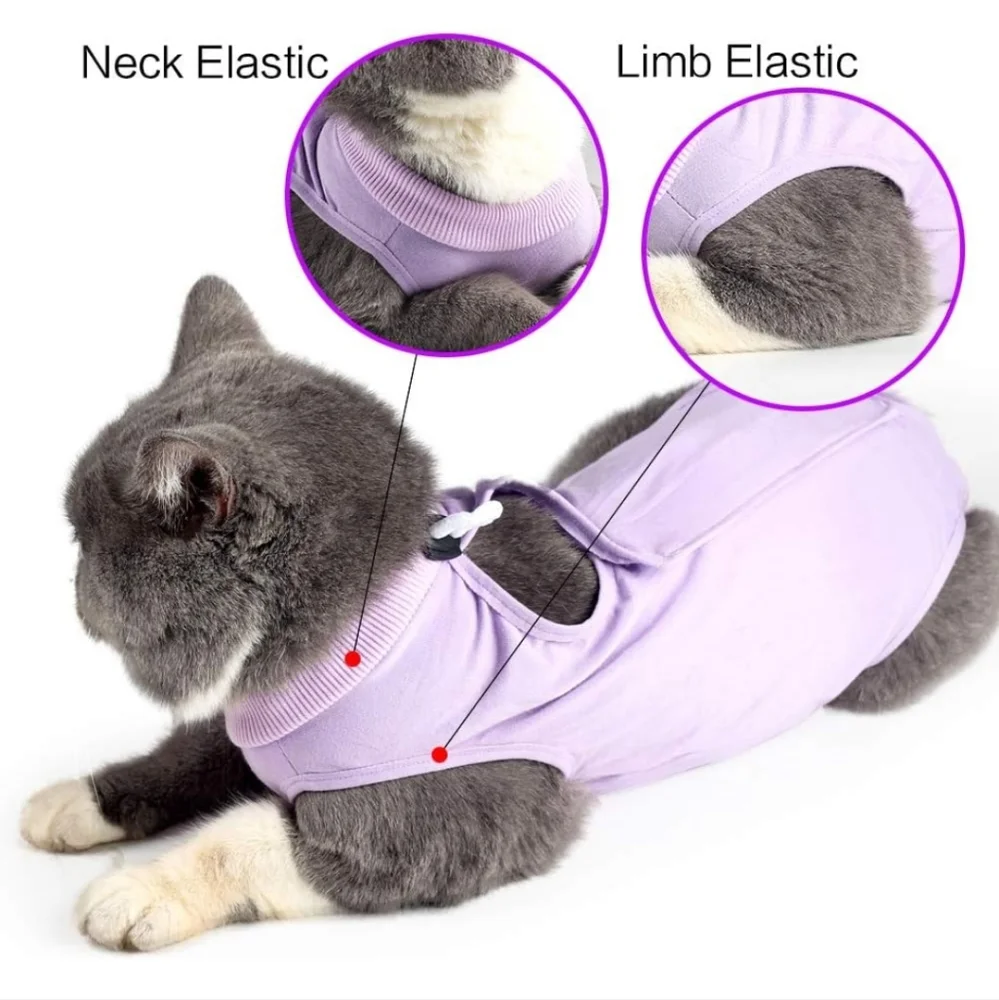 Doton cat recovery