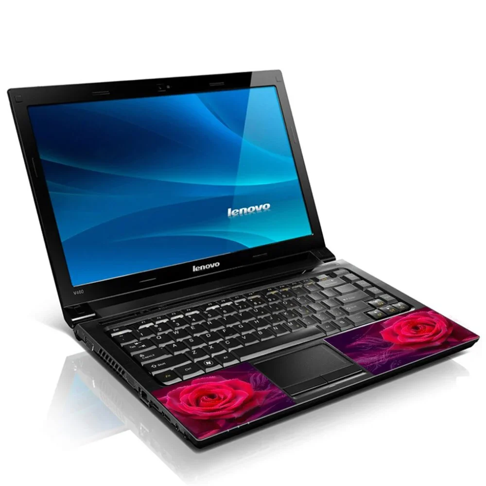 LSS laptop skin