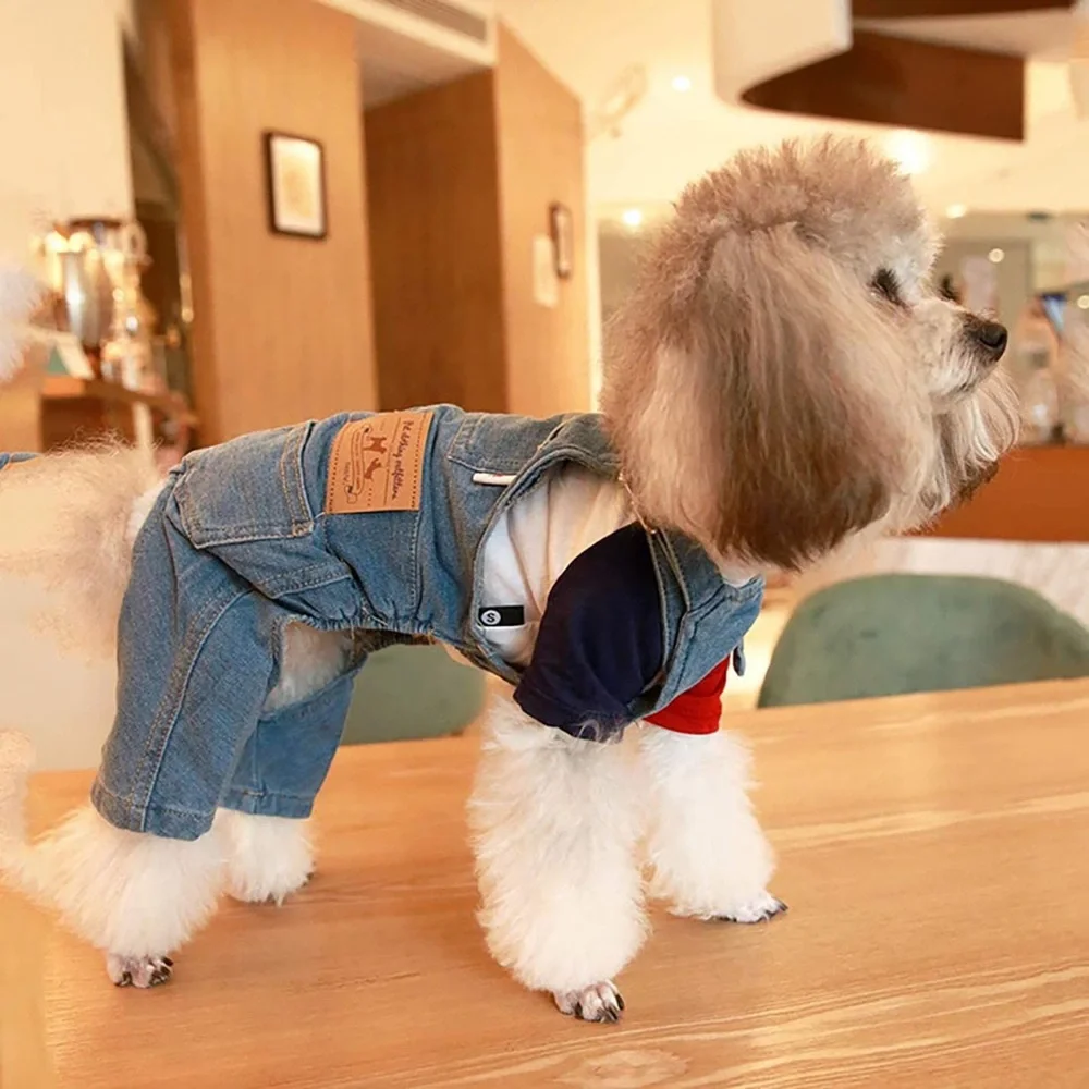Pet Clothing Outfitters stylish durable
