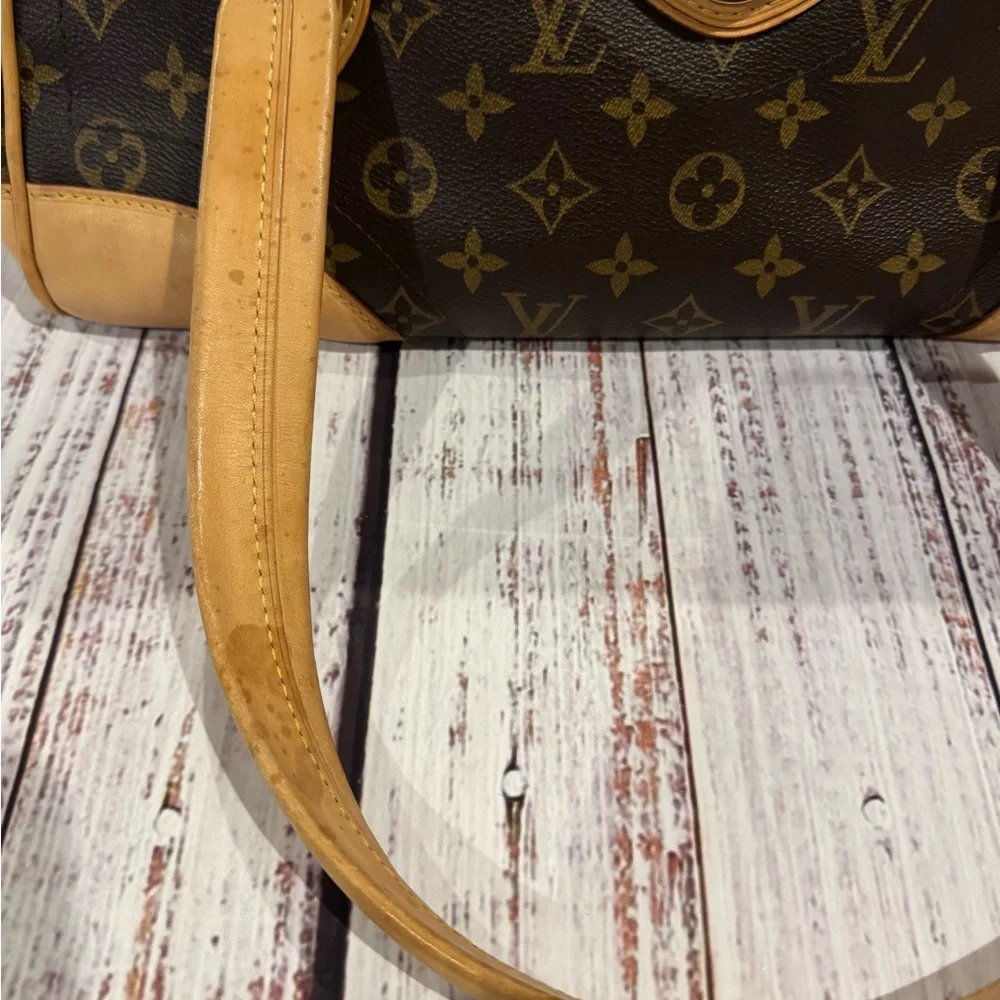 Louis Vuitton authentic louis