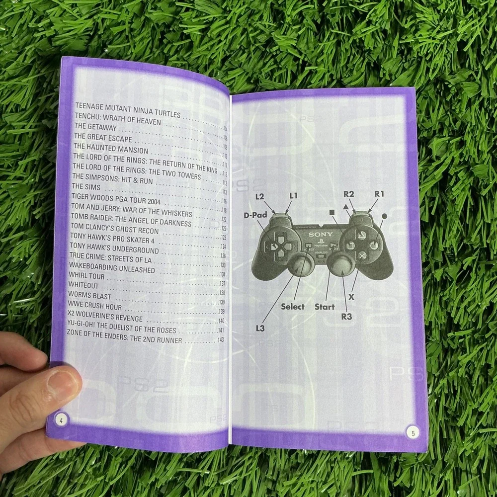 BradyGames ps2 secret