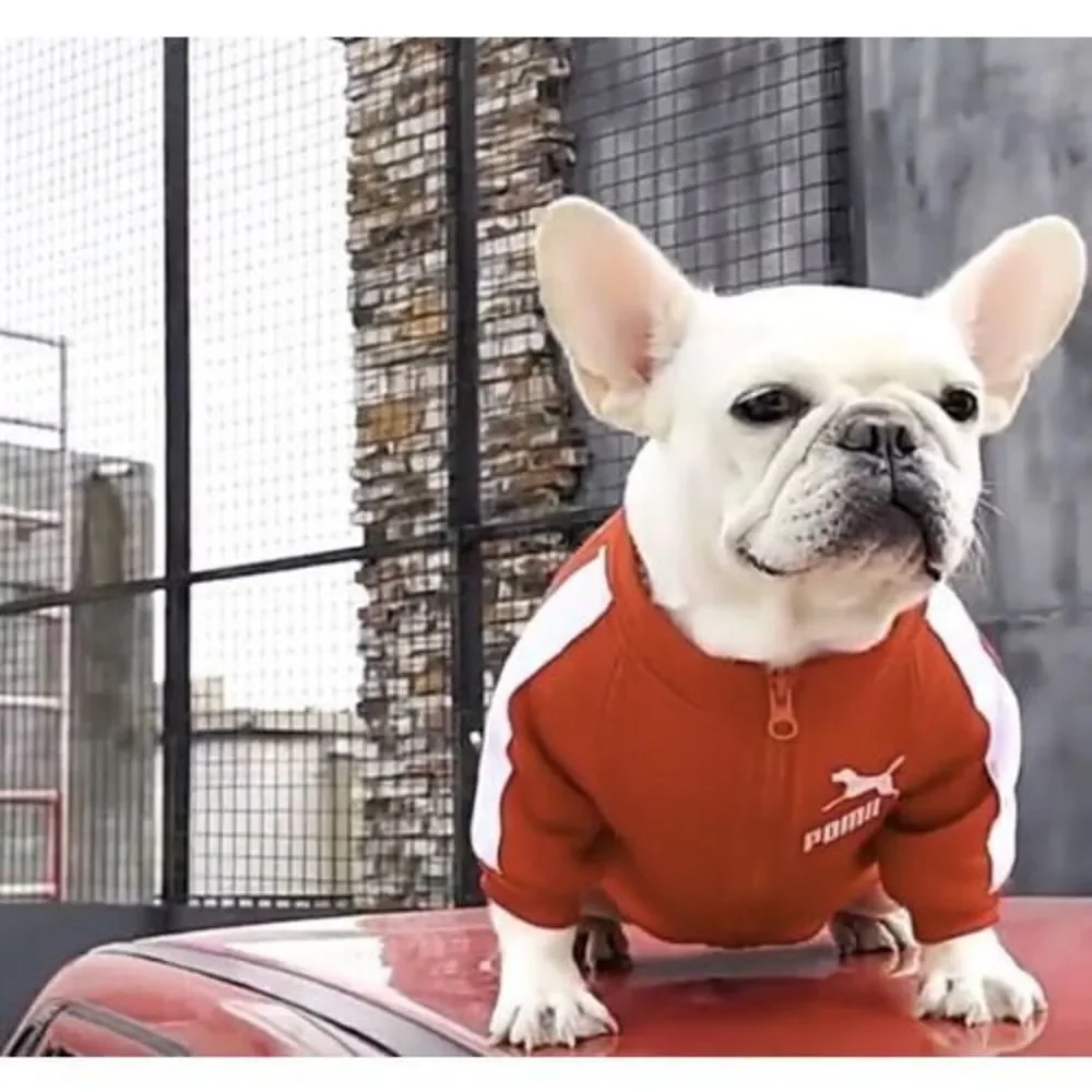 Dogs Cats Sweatshirt Clothes Coat Apparel Warm Small‎ Clothing Jacket Cute