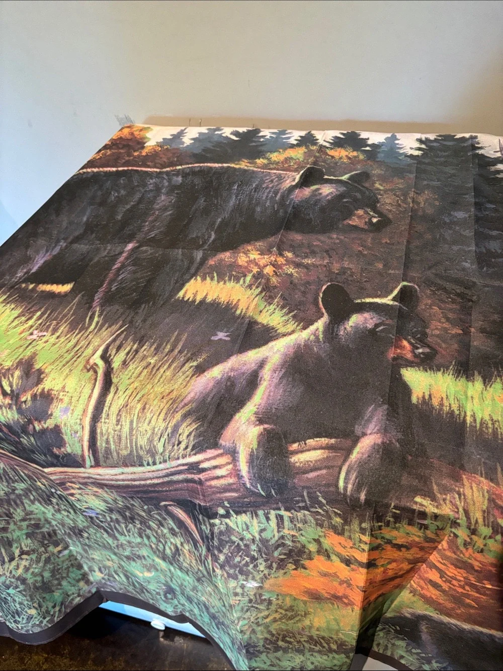 Black Bear Lodge bring beauty