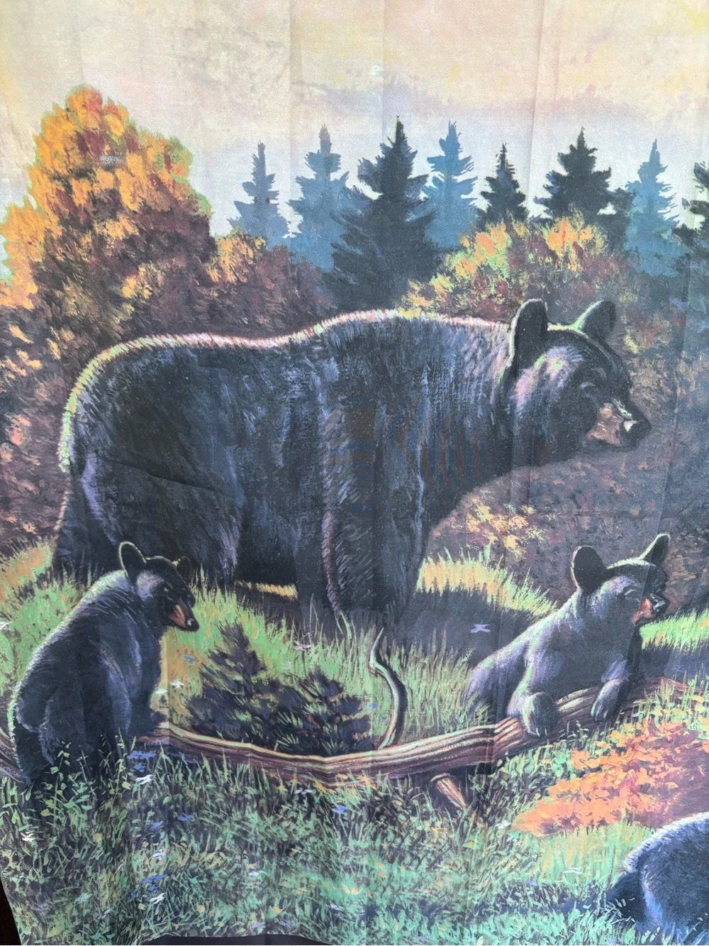 Black Bear Lodge bring beauty