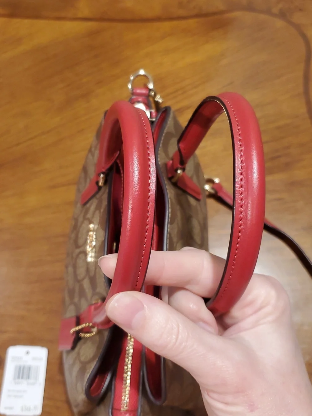 NEW Coach Mini Sage Signature Carryall