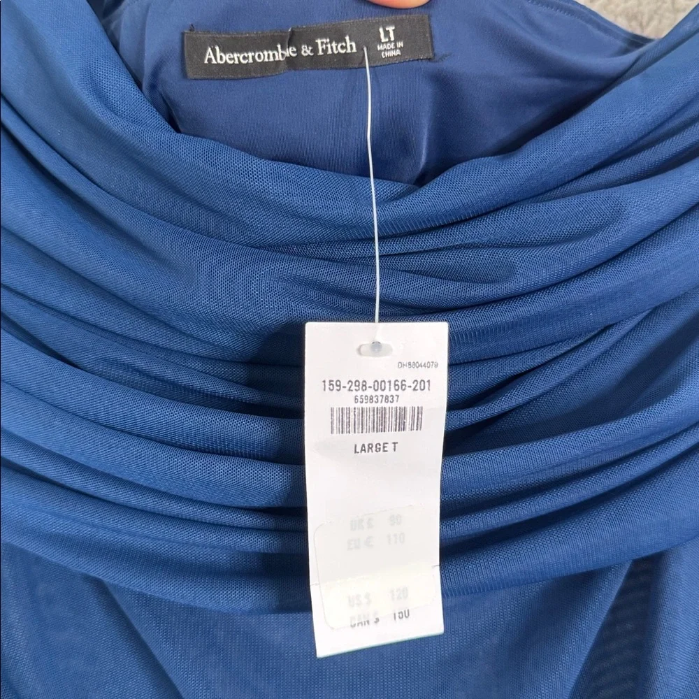 Abercrombie & Fitch Mesh Asymmetrical Off-The-Shoulder Draped Maxi‎ Dress | LT