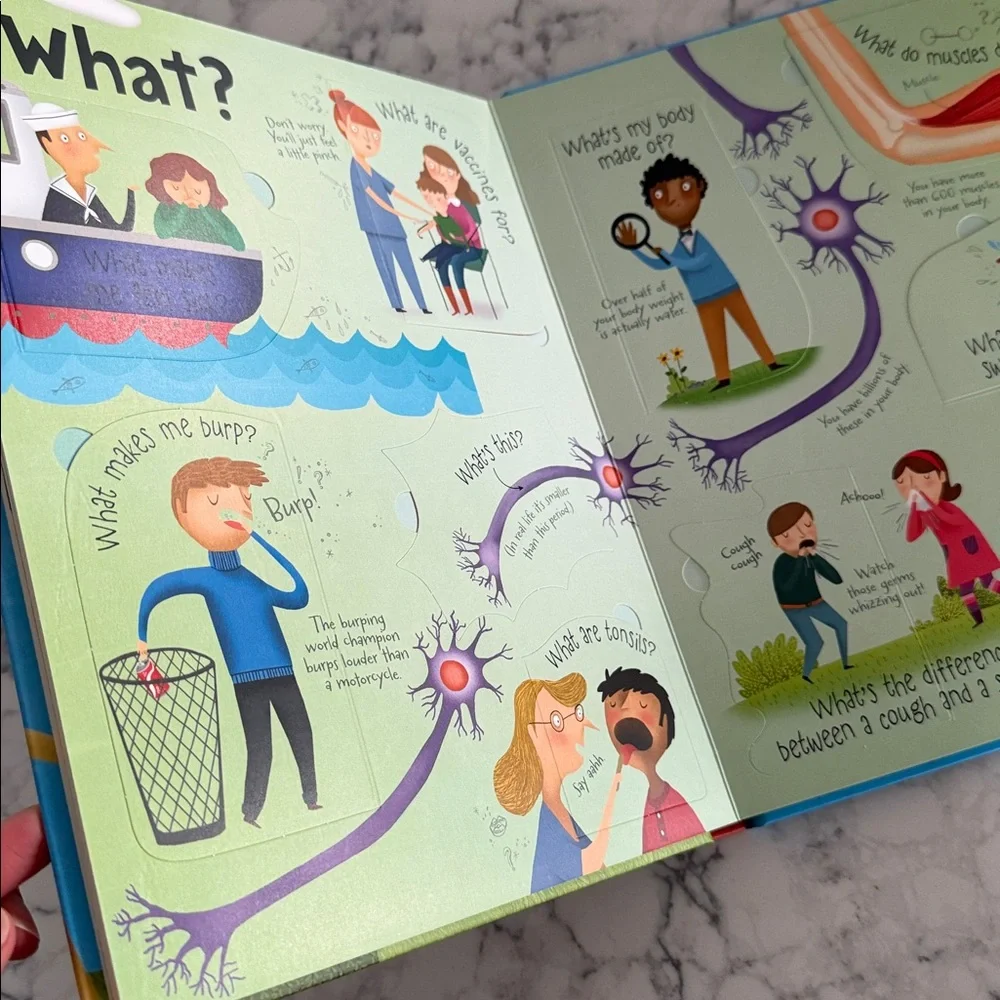 usborne lift flap