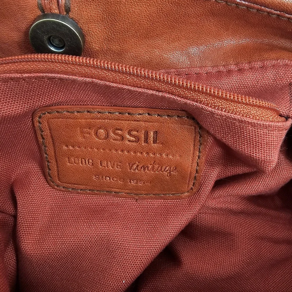 Fossil stud coloring