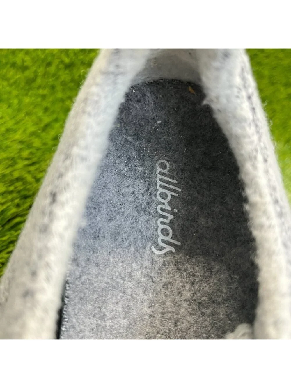 allbirds please review