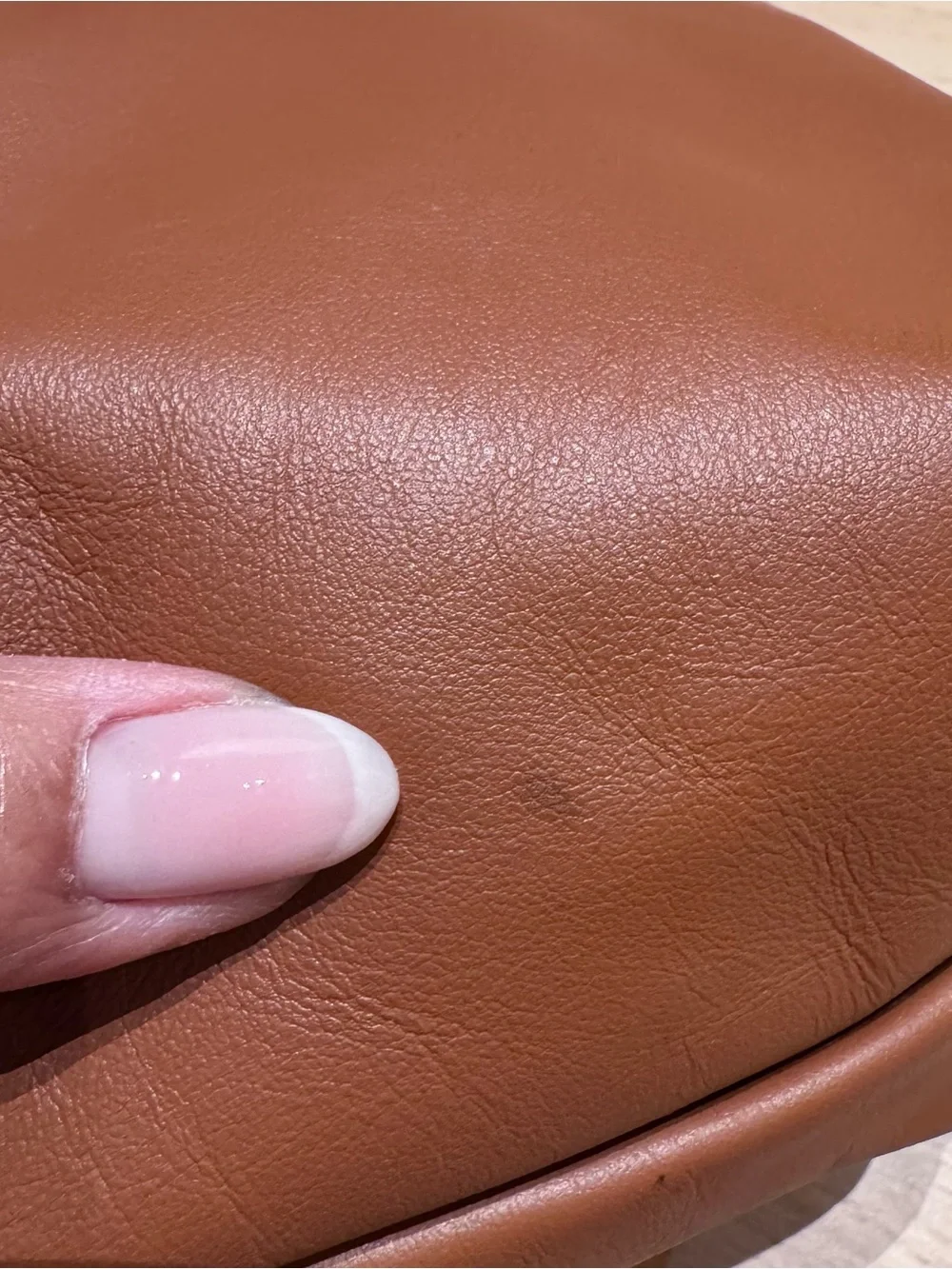 Longchamp authentic le