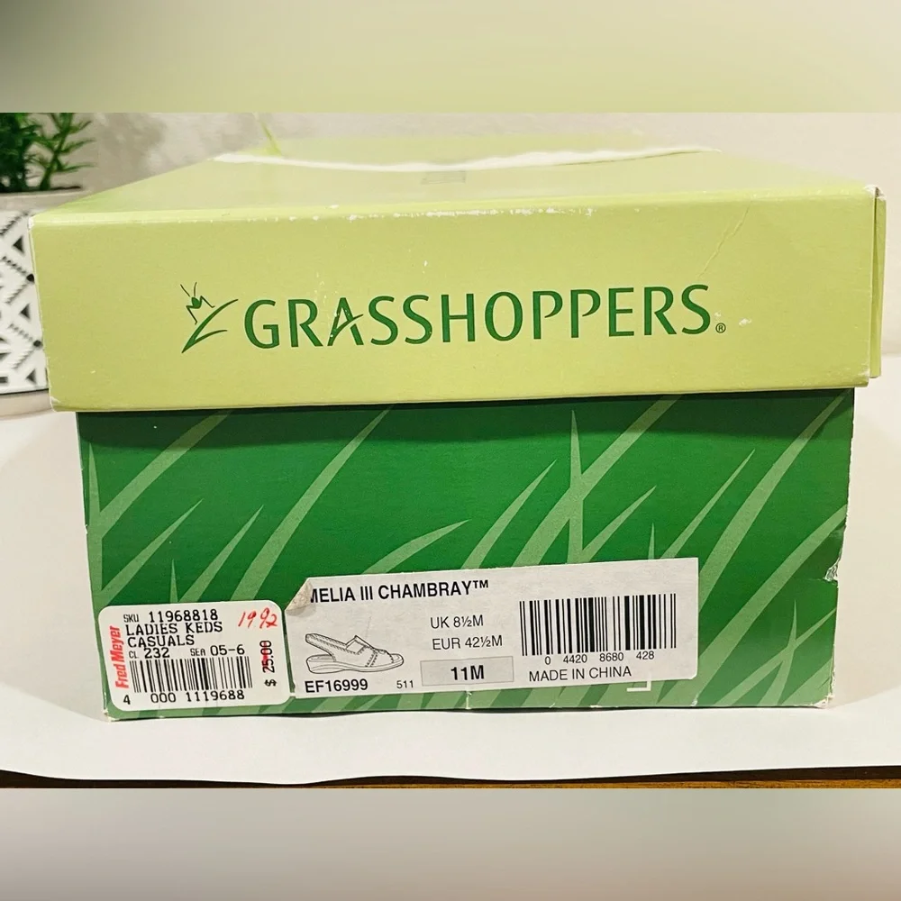 Grasshoppers step into