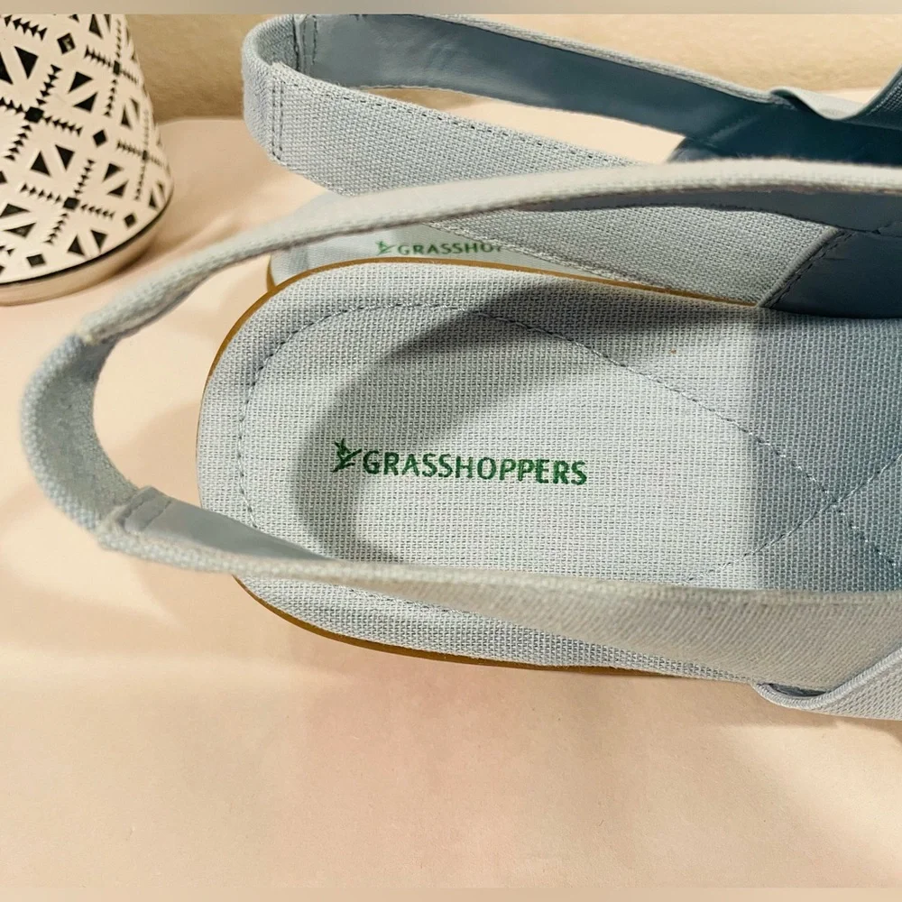 Grasshoppers step into