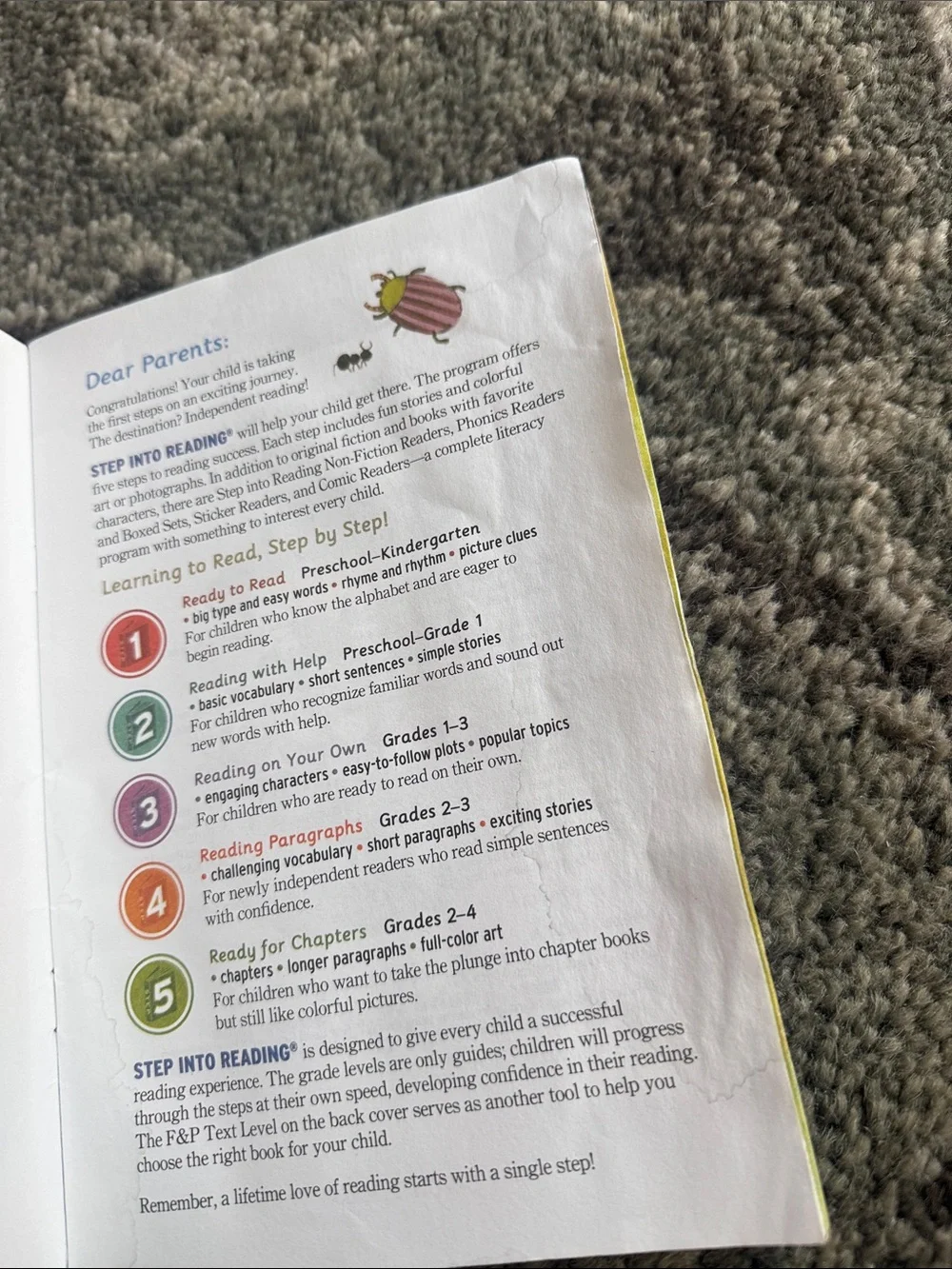 Scholastic step into