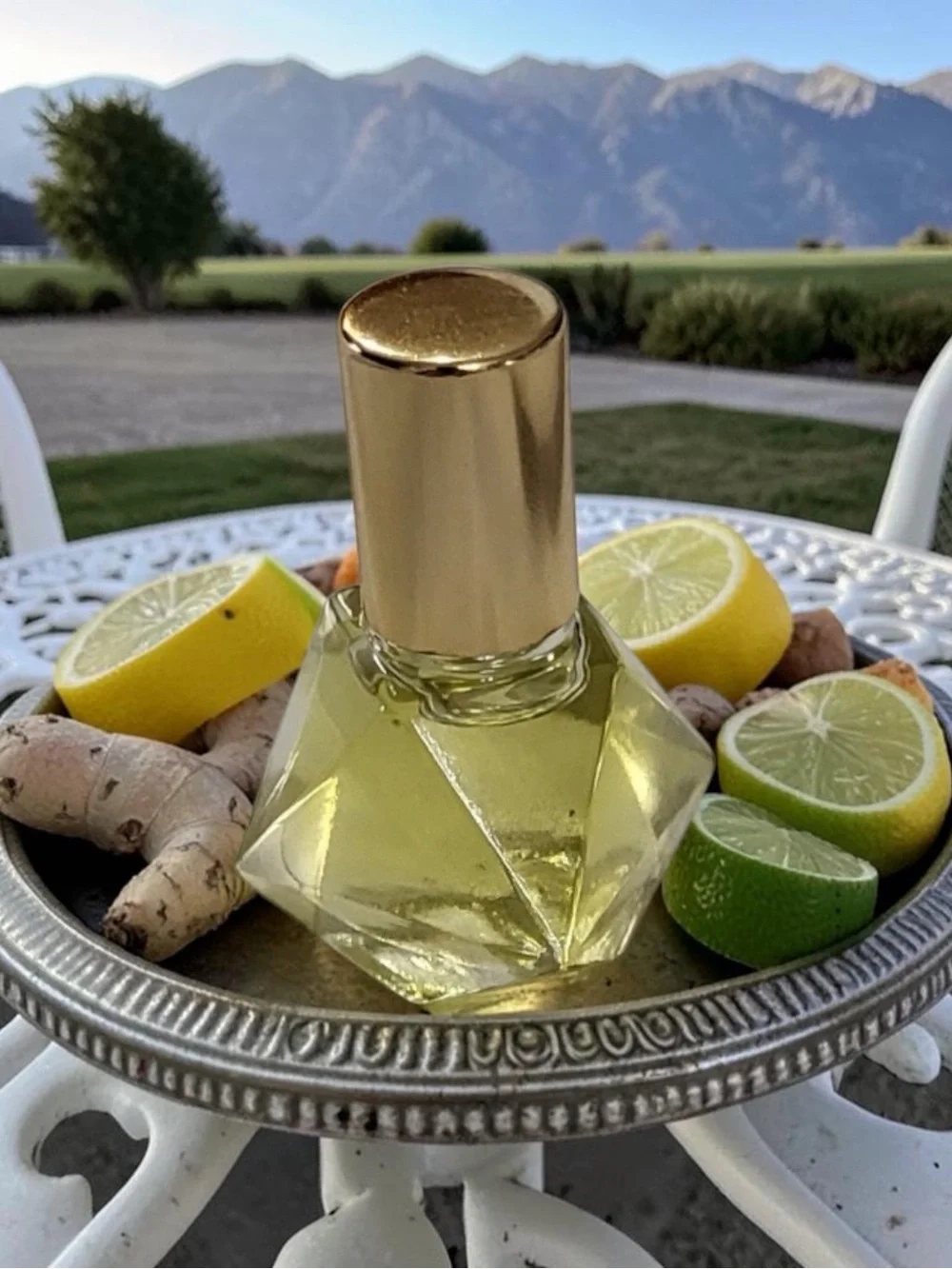 Orchid & Vine citrus bliss