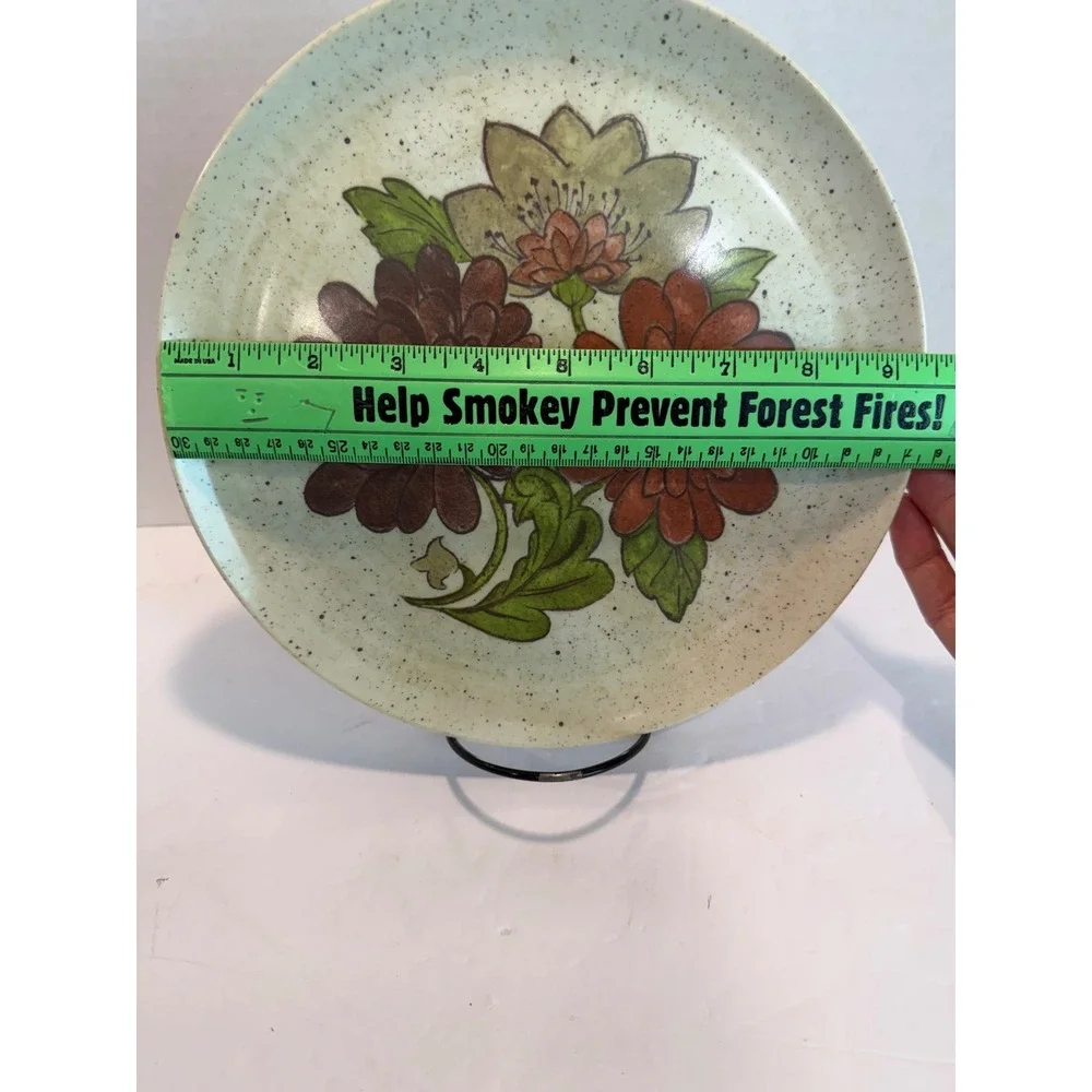 Iguana vintage melamine