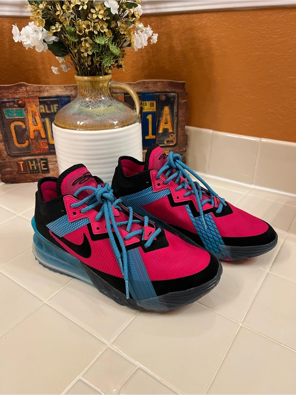 Nike Lebron this pair