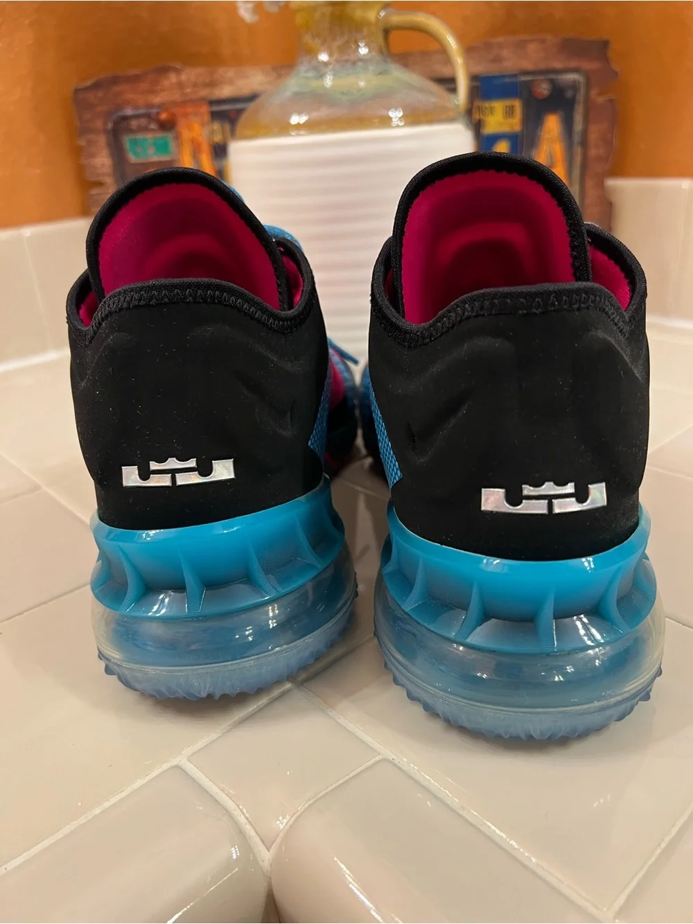 Nike Lebron this pair