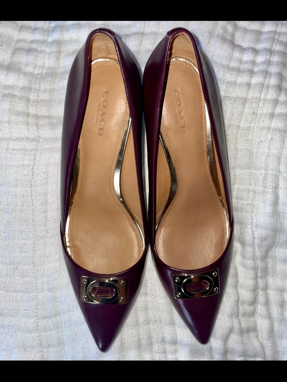 Coach classic pointed