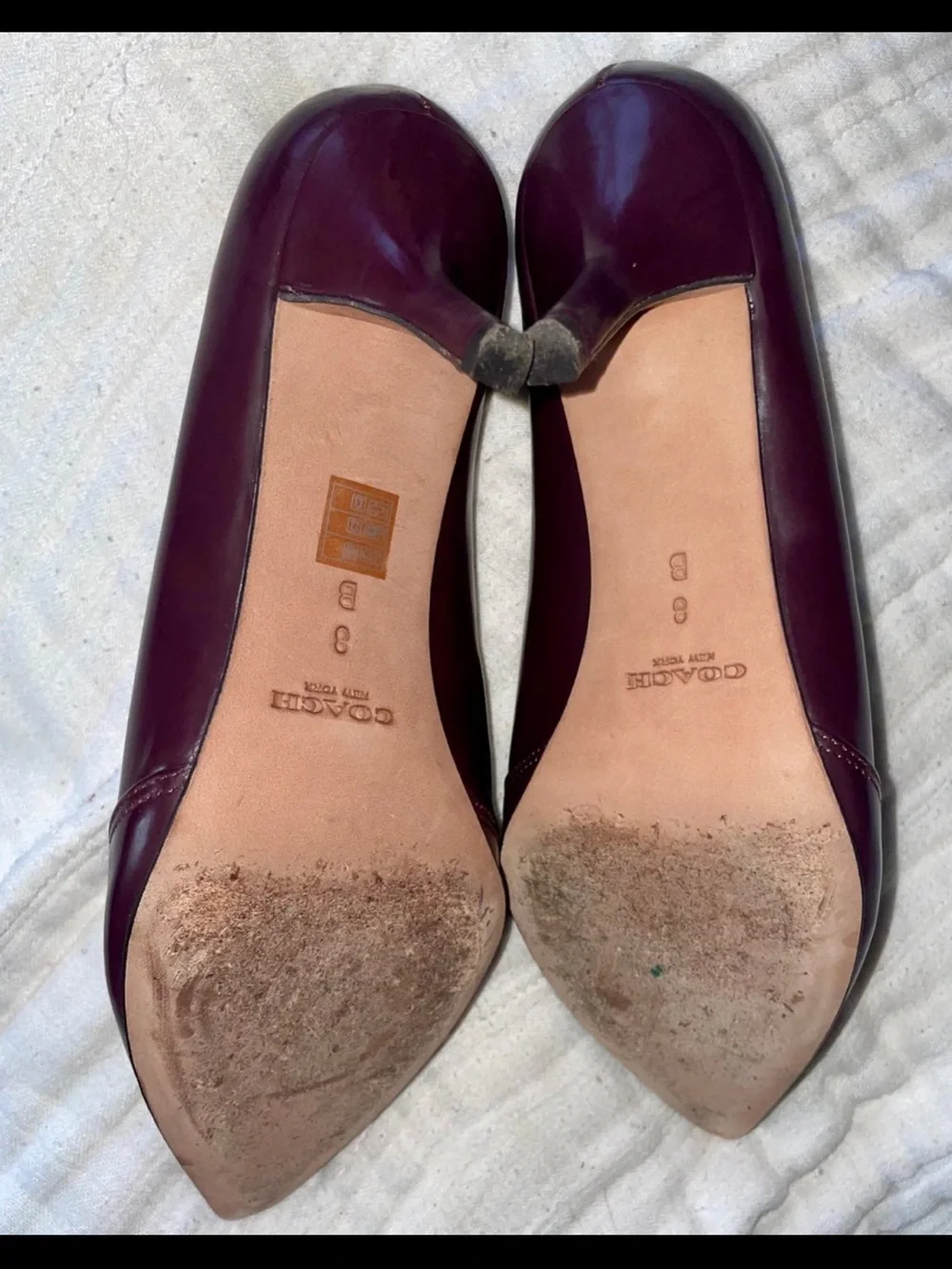 Coach classic pointed