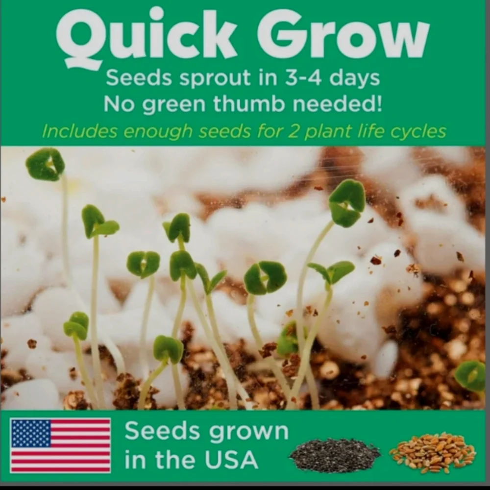 Grow 'N Glow Terrarium Kit NEW