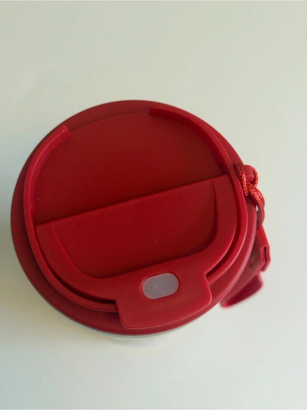 Peanuts insulated travel