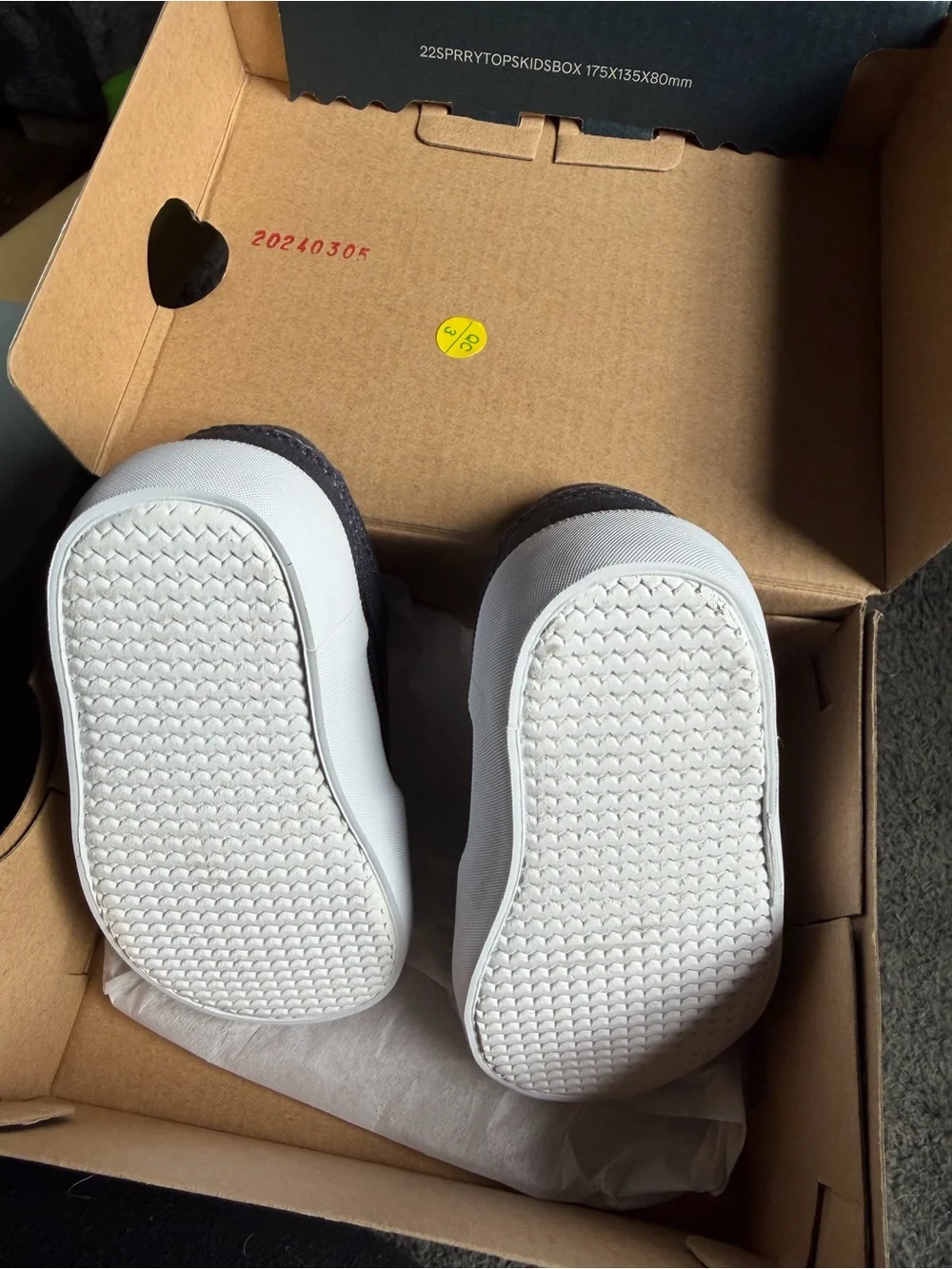Sperry Kids Navy and White Sneakers