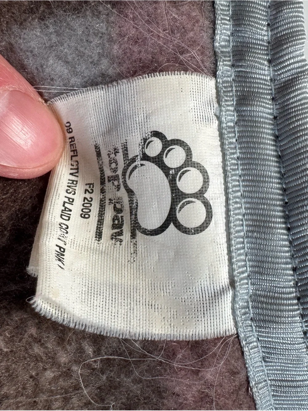 Top Paw closure lightweight graphic