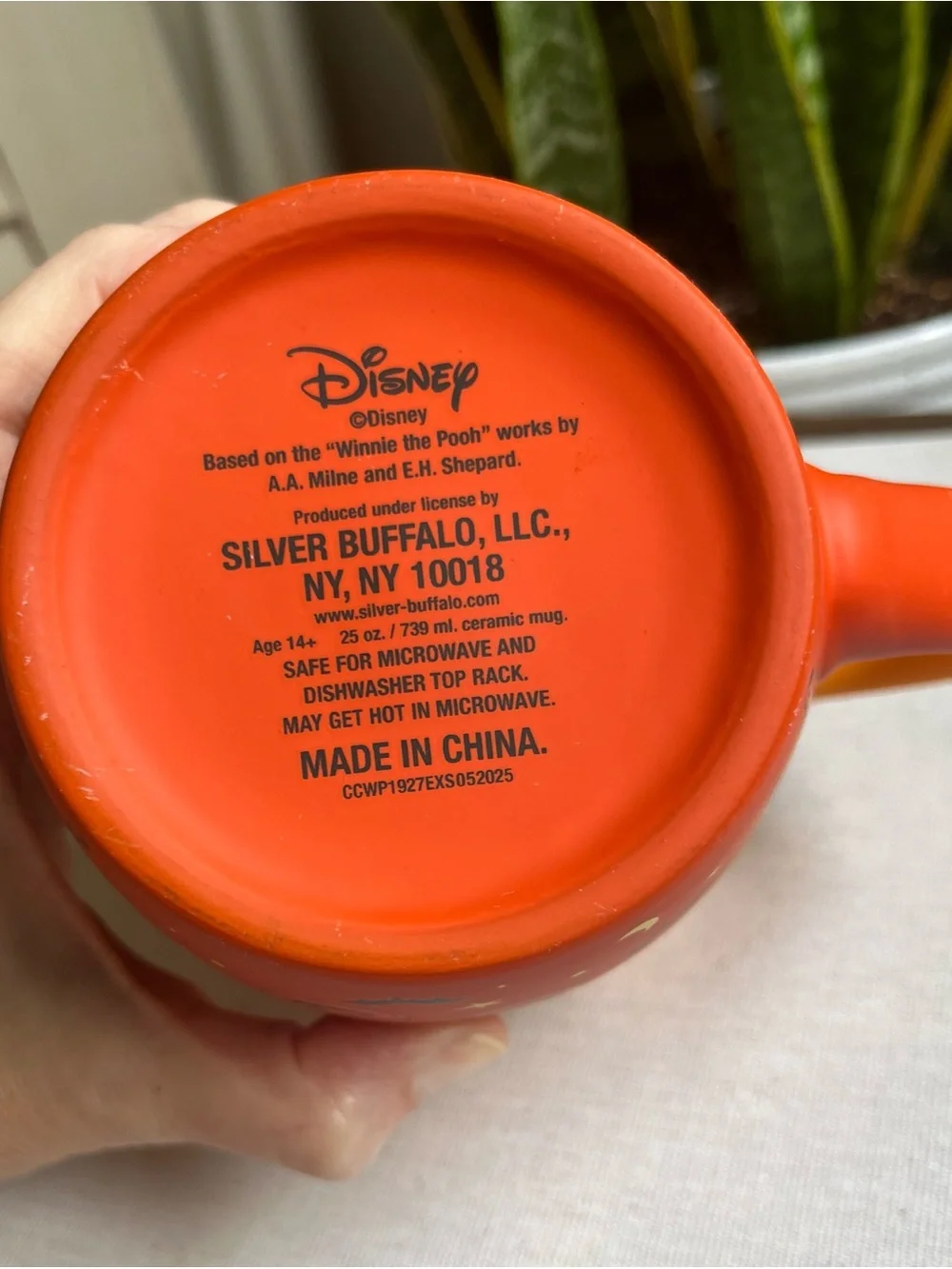 Disney nwot winnie
