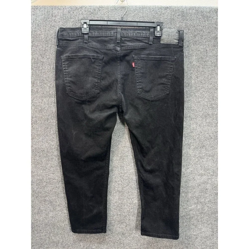 Levis levis 502