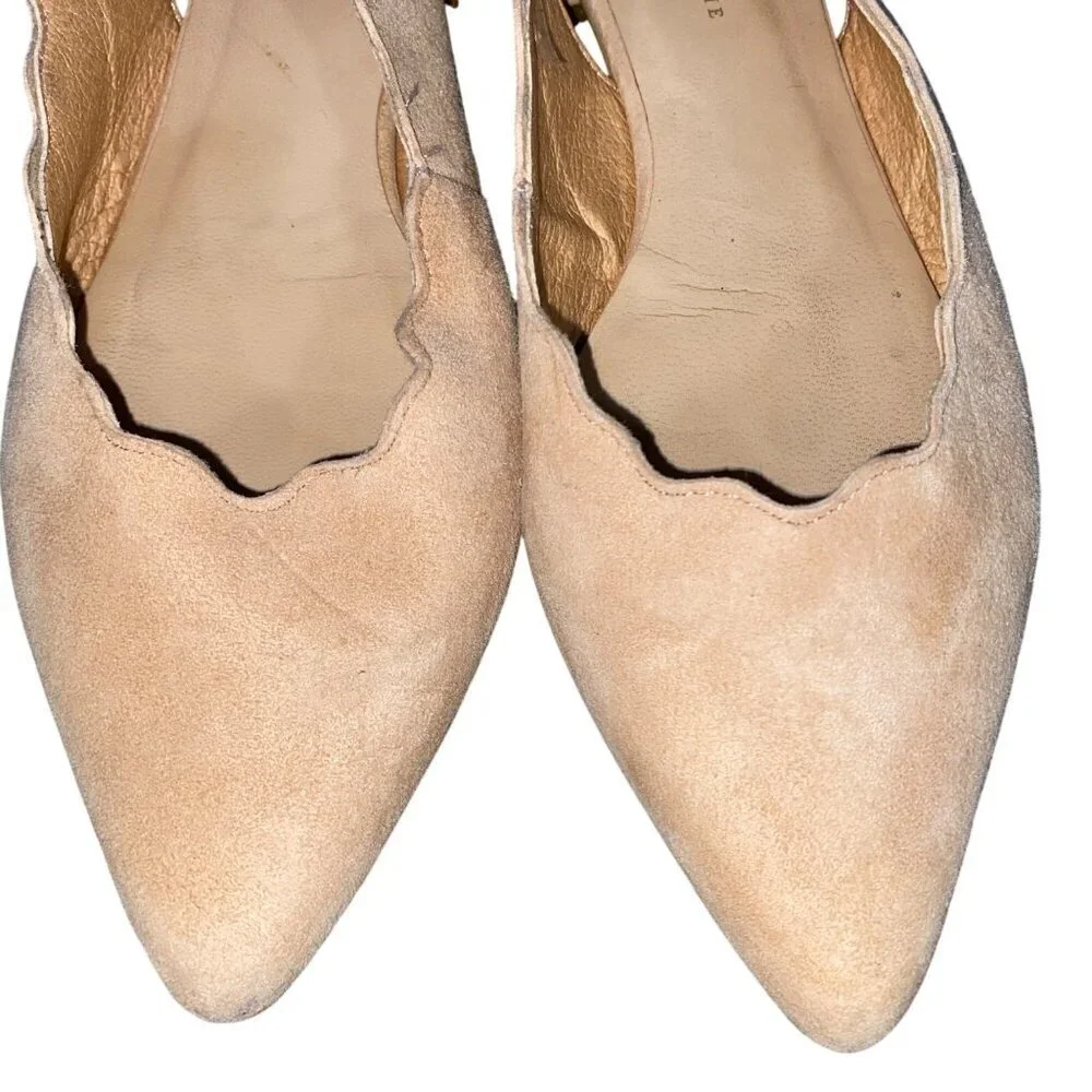 Anthropologie these scalloped