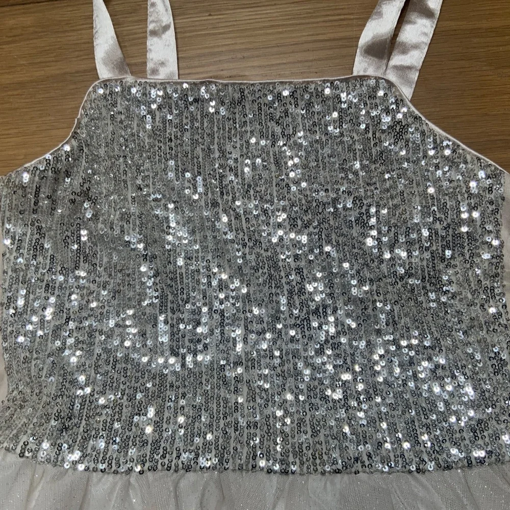 Sparkly Sequin Bodice Dress Cream and Silver Never Worn Tulle Underskirt