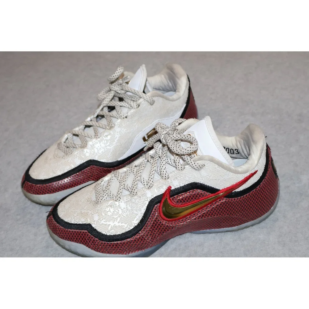 Nike lebron 23