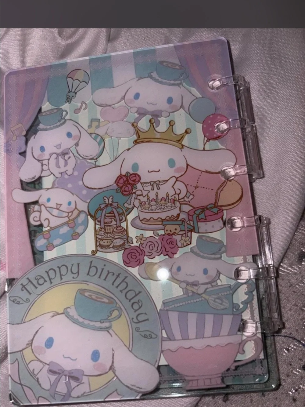 Sanrio adorable cinnamoroll