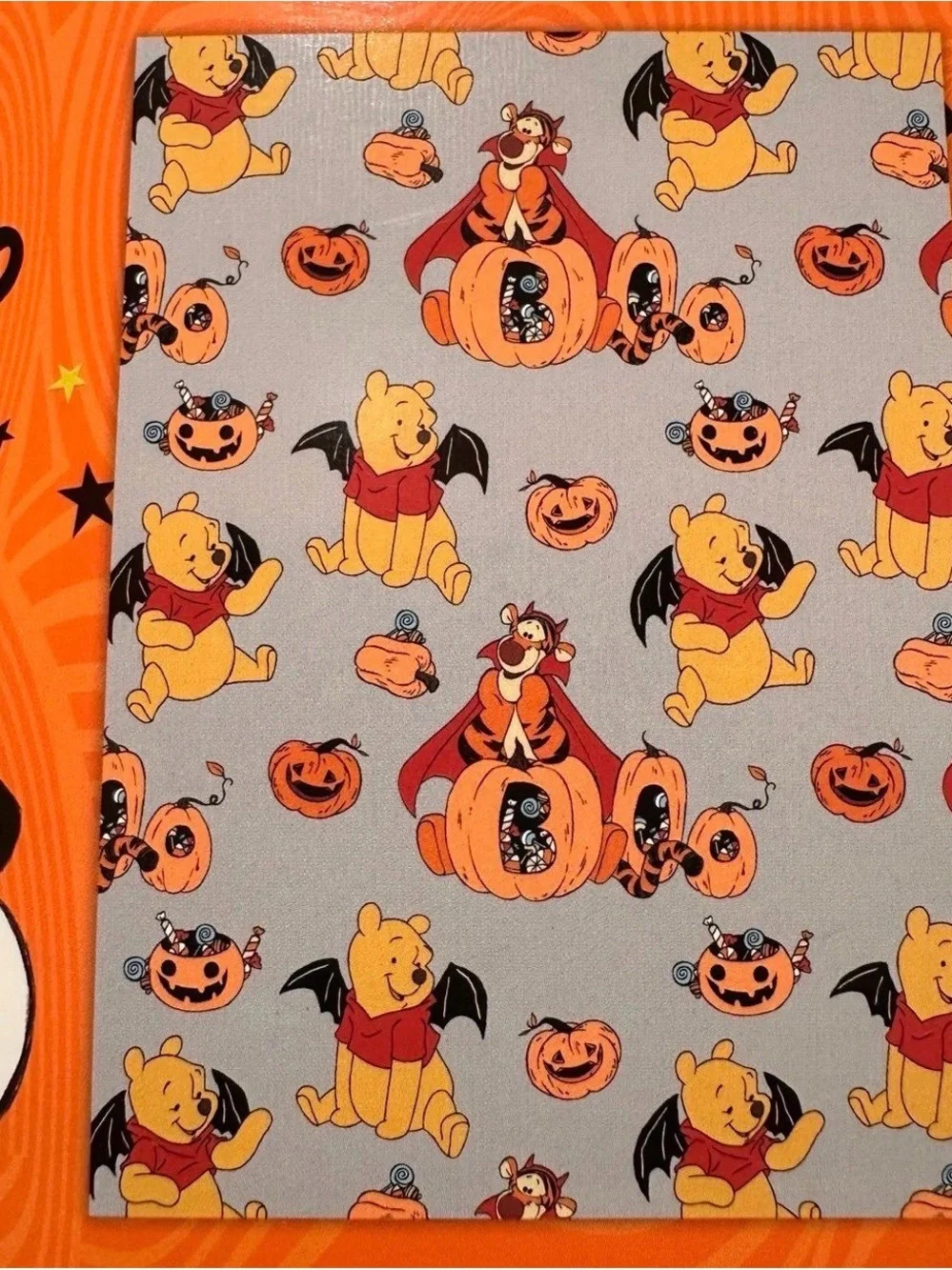 Disney themed throw