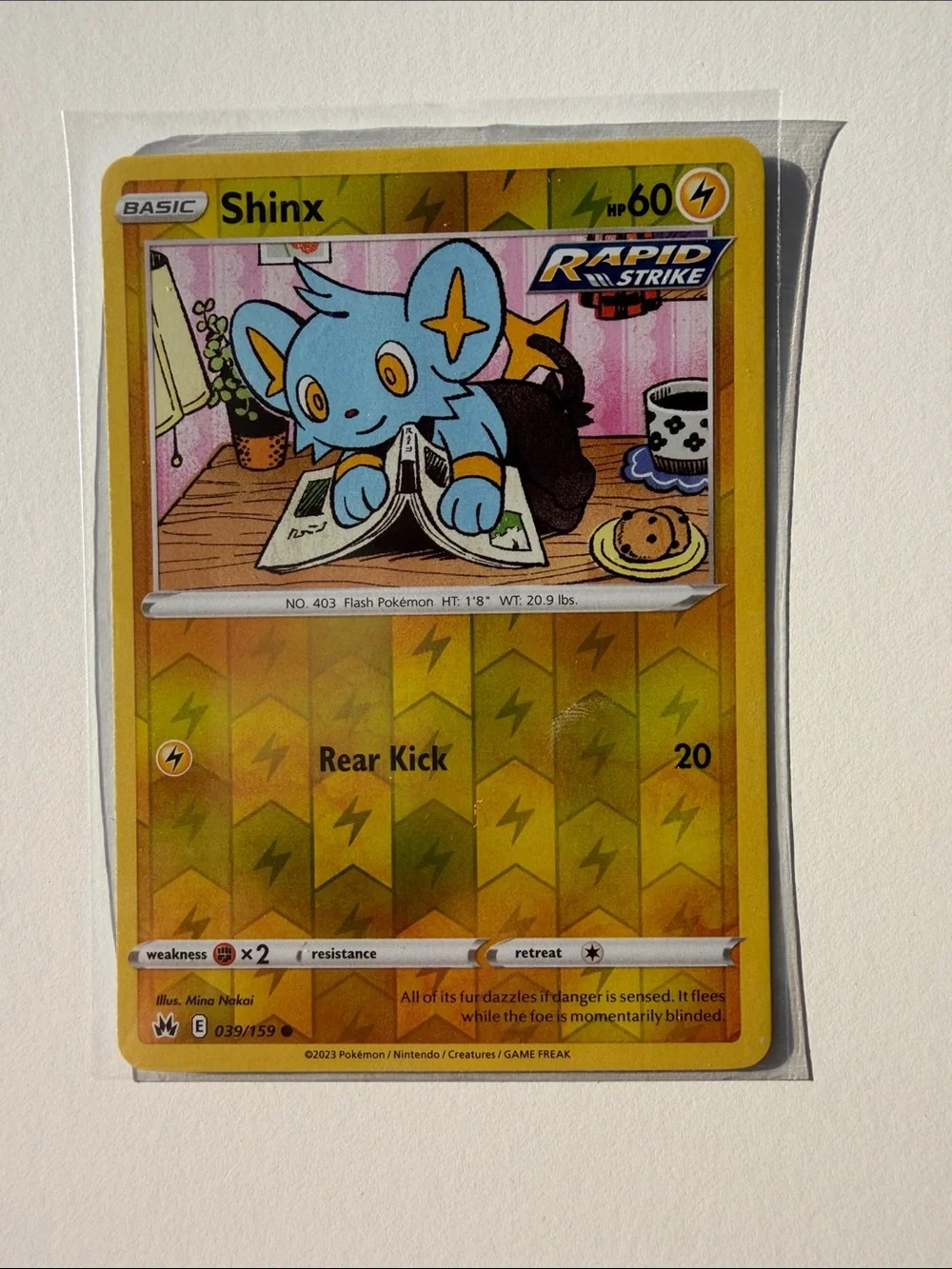 Shinx Luxio Luxray Evolution Lot 7 Cards Reverse Holo | ✨5/$25✨