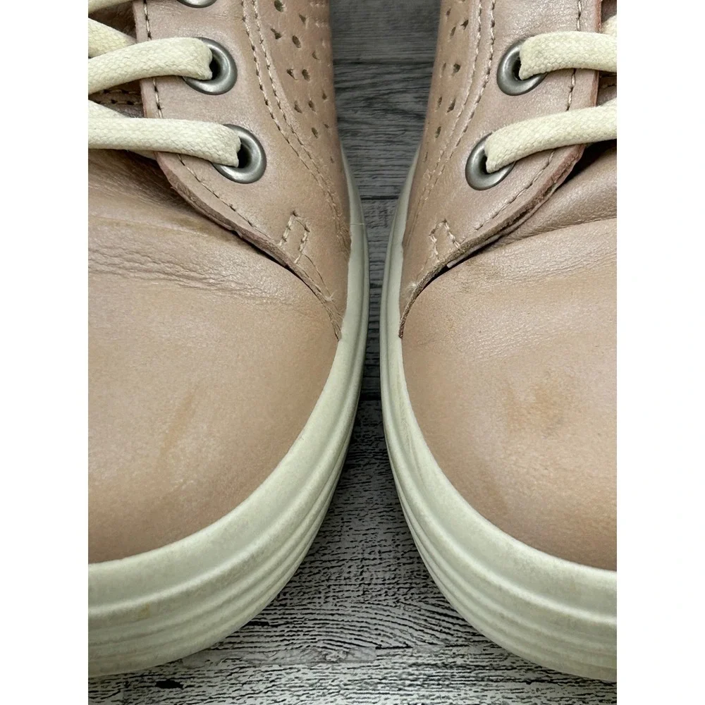Ecco discover everyday