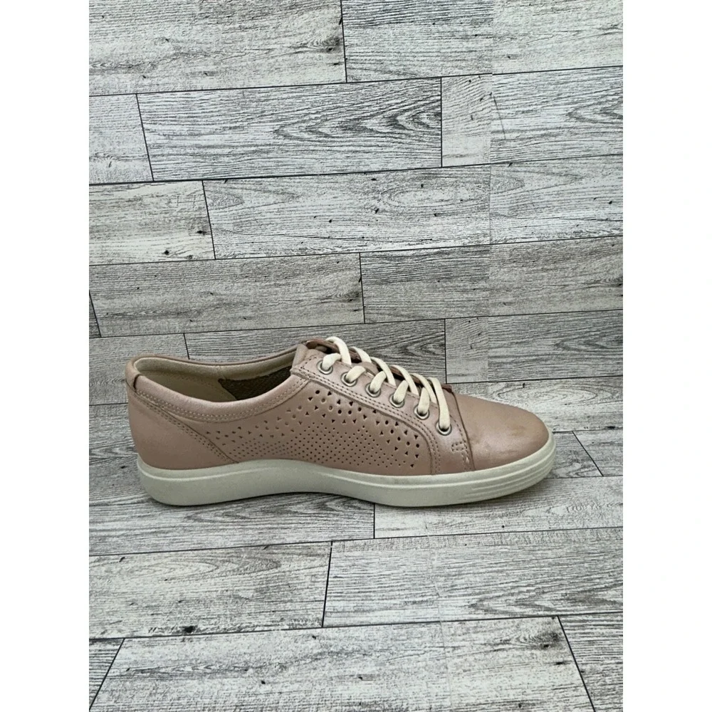 Ecco discover everyday