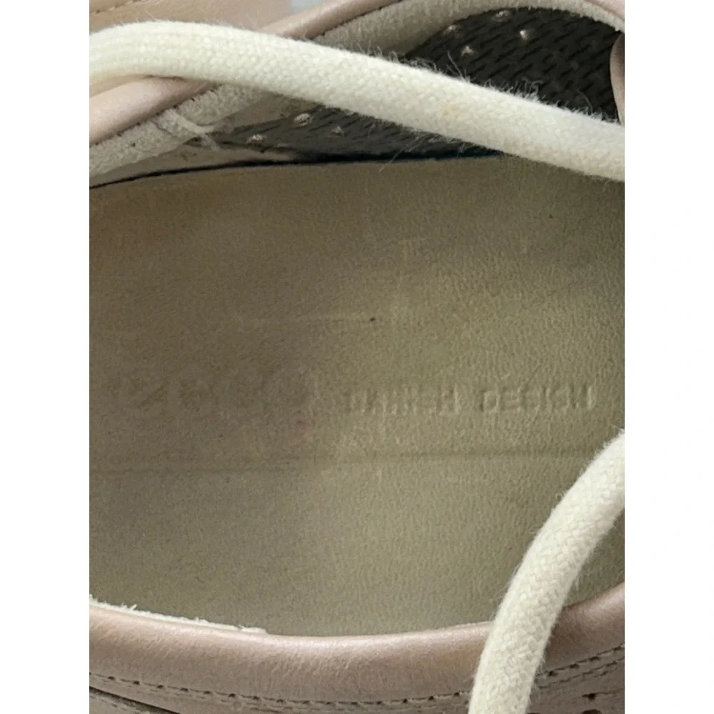 Ecco discover everyday