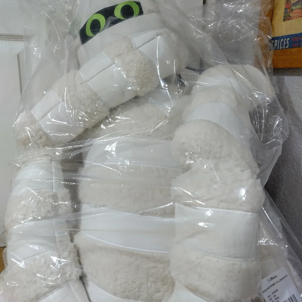 N/A storehouse mummy