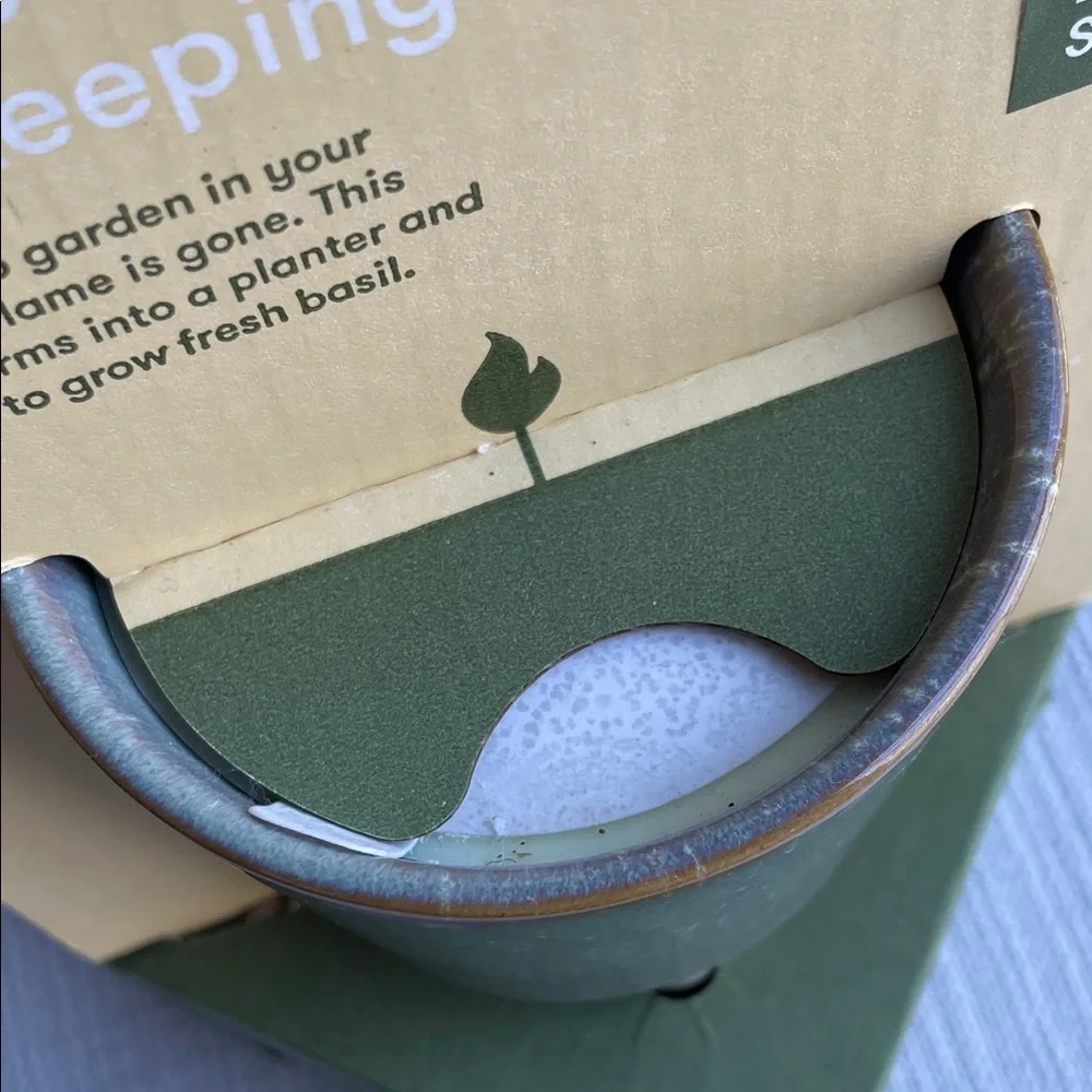 Modern sprout glow & grow Candle + grow kit herb garden
