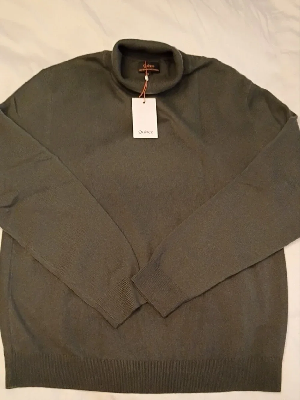 Quince cashmere turtleneck
